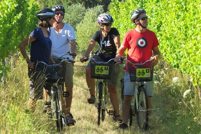 Stopping for a look at the Vines